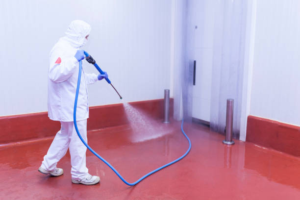 Best House Exterior Washing  in Tavares, FL