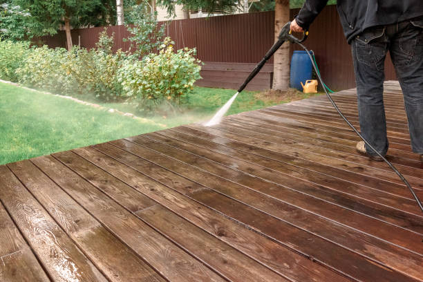 Best Fence Cleaning  in Tavares, FL